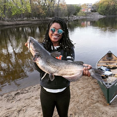 michigan channel cats